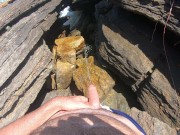 pee on the beach 2024 7/16