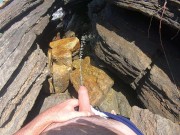 pee on the beach 2024 8/16