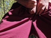 FPOV Quickie In The Sun 9/16