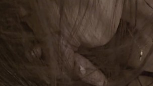 Le hago una mamada a mi hermanastro antes de irnos a cenar