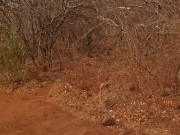 A stroll through the forest into the outdoor toilet for an immaculate ejaculation 2/16