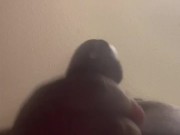 BBC Solo Masturbation with Cumshot 15/16