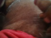 පයිය මොල්වෙලා සුද්දා 5/16