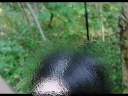 The Forest nymph 11/16