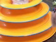 Милые киски только познают мир 9/16