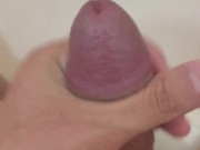 トイレでオナニー 8/16