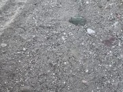 Redhead Fucked in Nature 16/16