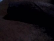 Rola Pulsando Tesão 8/16