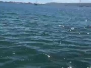 Threesome Date With Lovely Gals 5/16