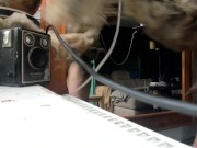 soft cock is waiting for erection 10/16