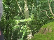 Pissing in the woods 16/16