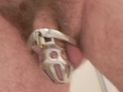 Pisciata con sorpresa, castità e plug anale 1/16