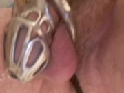 Pisciata con sorpresa, castità e plug anale 14/16