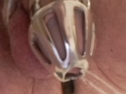 Pisciata con sorpresa, castità e plug anale 8/16