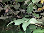 I piss, masturbate and squirt during an orgasm in a public place - IkaSmokS 16/16