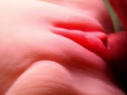 It feels so good to fuck. 13/16