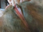 Worship this pussy pt. 16 8/16