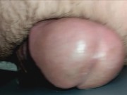 Mr. Big Fat Dick Loves To Hump And Cum 10/16