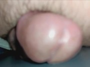 Mr. Big Fat Dick Loves To Hump And Cum 14/16