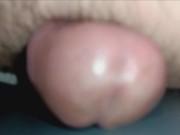 Mr. Big Fat Dick Loves To Hump And Cum 5/16