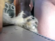 listening to legend 4/16