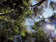 El sexo contando desde el amor, en los tiempos del porno 1/16