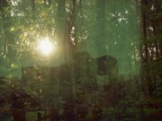 El sexo contando desde el amor, en los tiempos del porno 15/16