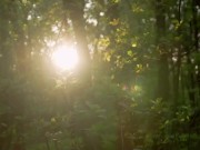 El sexo contando desde el amor, en los tiempos del porno 16/16