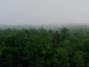 El sexo contando desde el amor, en los tiempos del porno 2/16