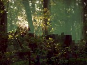 El sexo contando desde el amor, en los tiempos del porno 4/16