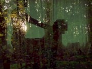 El sexo contando desde el amor, en los tiempos del porno 5/16