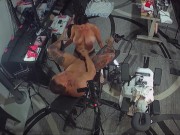 Strap on Stories - Women PEGGING Men - FUN TIMES -Cage him ruin his AssHole and MAKE him CUM.8 POV's 2/16