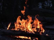 An Alternative for Those Seeking Something More 11/16