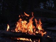 An Alternative for Those Seeking Something More 12/16