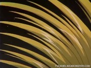 Anime lesbian group and masturbation session 11/16