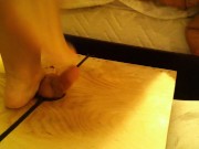 Little Dicks Deserve Stomping 11/16