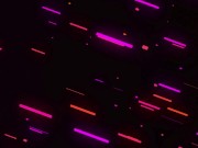 This will be the last thing you see before I sit on your face😇💕 13/16