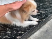 Saigon Vietnam 14/16