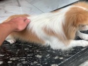 Saigon Vietnam 15/16