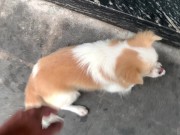 Saigon Vietnam 16/16