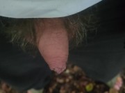 Pissing in a forest 16/16