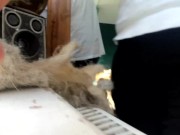 illusion of separation 1/16