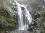 Секс под водопадом это нечто 10/16