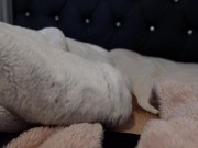 After shower edging handjob, furjob 2/16