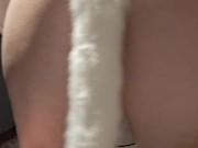 Jag älskar vara en katt till master 9/16