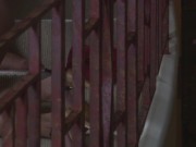 Wearing sexy lingerie, Dolly Delight and Paige Ashley have a really great lesbian hardcore session. 10/16