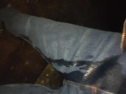 Ginger wets himself on bench 16/16