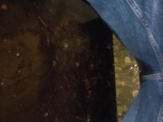 Ginger wets himself on bench 5/16