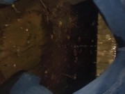 Ginger wets himself on bench 6/16