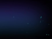 38CM Black Dick 1 16/16